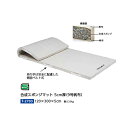 トーエイライト 合成スポンジマット 5cm厚 9号帆布 120×300×5cm T2703