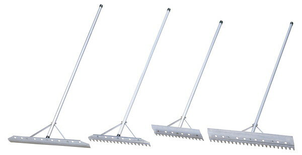 ȡ饤 ߥ졼50ʷѡ B3875