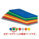 トーエイライト フィットネスマット180 ダークグリーン H7465DG
