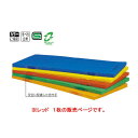 トーエイライト エコカラーコンビネーションマット・すべり止め付 120×300×5cm 赤 T1185R