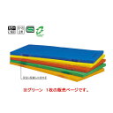 トーエイライト エコカラーコンビネーションマット・すべり止め付 抗菌・防臭 120×300×5cm 緑 T1894G