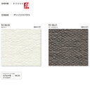 タチカワ ロールスクリーン レース ルセット ラルクシールド 非ウォッシャブル RS-8620〜RS-8621 幅495〜800mm 高さ500〜800mm(3)