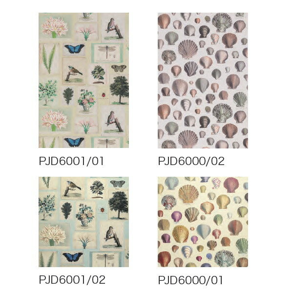 ƥ ͢ɻ JOHN DERIAN ǥʡ  (ꥹ) 52cm10m