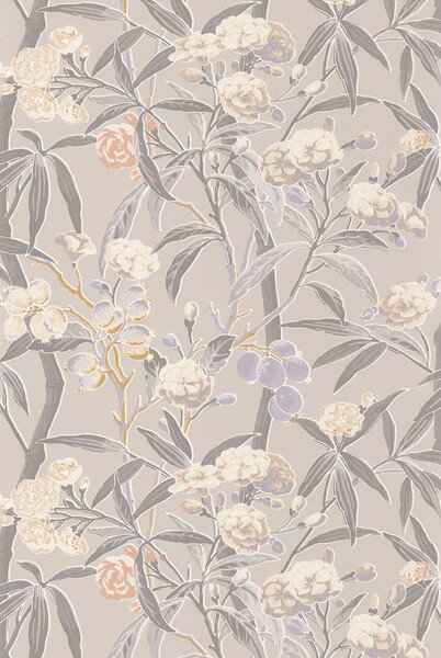Rakuten - テシード 輸入壁紙 CASADECO (フランス) 53cm×10m巻 CBBA84331212