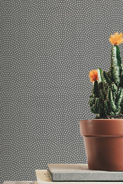 テシード 輸入壁紙 LIMELIGHT (日本) 90cm×10m巻 LT-JE016