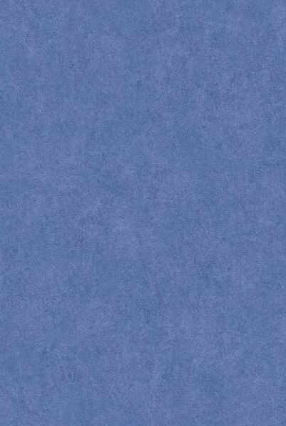 テシード 輸入壁紙 CASADECO (フランス) 53cm×10m NOVA82186228