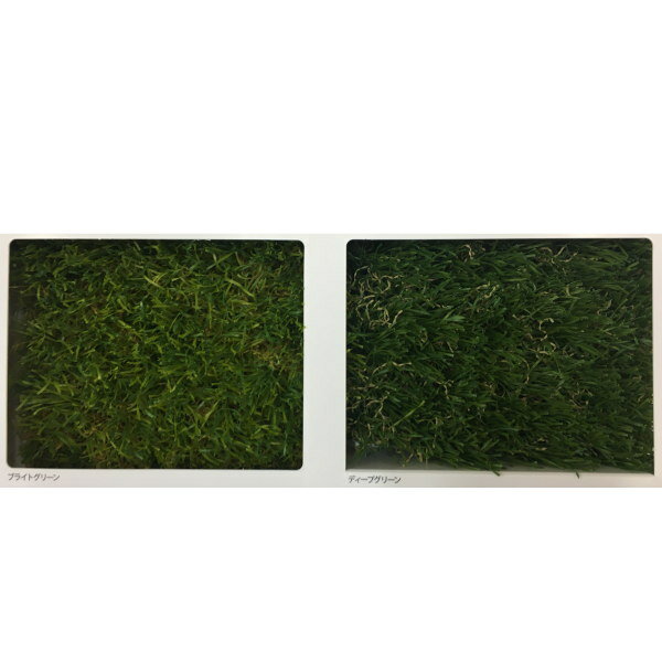 東レアムテックス 人工芝 天然芝の風合い MD-PE ロール販売 幅1.8m 標準パイル長35mm 15m長乱