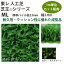 東レアムテックス 人工芝 芝王 ML カット販売 幅1m 厚約25mm 1m長乱