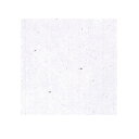 ワーロンシート 楮入り NO.103 0.2mm厚 930×1850mm 1枚(3)