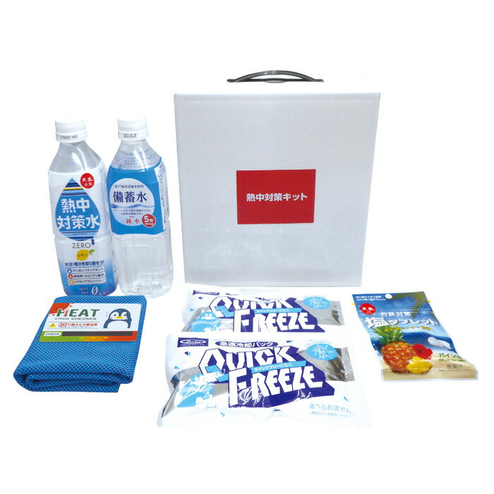 入荷次第順次 ブレイン 熱中対策キットミニ（MINI） BR