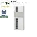 【MAX P27倍 ~3/11 01:59】 【受注生産】フジイ シューズすきまくん ESP-CT75 幅75cm 奥行39.7cm 高さ180.2cm Tシリーズ 定尺幅商品 台輪タイプ 開き扉 玄関収納 選べるカラー 日本製 隙間収納 完成品 送料無料