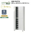 【MAX P27倍 ~3/11 01:59】 【受注生産】フジイ シューズすきまくん ESP-FHT75 幅75cm 奥行39.7cm 高さ184.7cm Tシリーズ 定尺幅商品 フットタイプ 開き扉 玄関収納 選べるカラー 日本製 隙間収納 完成品 送料無料