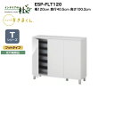 【MAX P27倍 ~3/11 01:59】 【受注生産】フジイ シューズすきまくん ESP-FLT120 幅120cm 奥行40.5cm 高さ100.2cm Tシリーズ 定尺幅商品 フットタイプ 開き扉 玄関収納 選べるカラー 日本製 隙間収納 完成品 送料無料