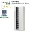 【MAX P27倍 ~3/11 01:59】 【受注生産】フジイ シューズすきまくん ESP-HT75 幅75cm 奥行39.7cm 高さ180.2cm Tシリーズ 定尺幅商品 台輪タイプ 開き扉 玄関収納 選べるカラー 日本製 隙間収納 完成品 送料無料