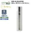 【MAX P27倍 ~3/11 01:59】 【受注生産】フジイ シューズすきまくん ESP-KL30/KR30 幅30cm 奥行39.7cm 高さ180.2cm Tシリーズ 定尺幅商品 台輪タイプ 傘収納タイプ 開き扉 玄関収納 選べるカラー 日本製 隙間収納 完成品 送料無料