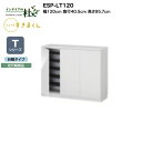 【MAX P27倍 ~3/11 01:59】 【受注生産】フジイ シューズすきまくん ESP-LT120 幅120cm 奥行40.5cm 高さ95.7cm Tシリーズ 定尺幅商品 台輪タイプ 開き扉 玄関収納 選べるカラー 日本製 隙間収納 完成品 送料無料