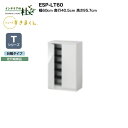 【MAX P27倍 〜3/11 01:59】 【受注生産】フジイ シューズすきまくん ESP-LT60 幅60cm 奥行40.5cm 高さ95.7cm Tシリー...