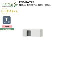 【MAX P27倍 〜3/11 01:59】 【受注生産】フジイ シューズすきまくん ESP-UWT75 幅75cm 奥行39.7cm 高さ61〜80cm Tシ...