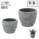 東谷 GRNB-201 グリーンベース 5号用 グレー W25×D25×H20cm ベース 入れ物 観葉植物入れ 飾り インテリア インテリア雑貨 室内 おしゃ...
