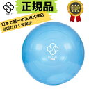 【正規輸入品】1年保証 BOSU(ボス) Ballast Ball バラ