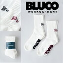 BLUCO (uR)2-PAC SOX -Embroidery-y\bNXzy1405-3A14zy񂹏i LZszy2023 SPRING&SUMMERz