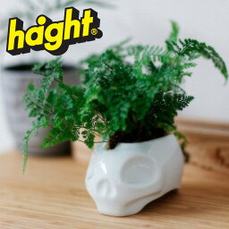 HAIGHT (ヘイト)NEW SCHOOL SKULL "ARITAYAKI" PLANT POT 【植木鉢】【HTHP-227001】【2022AUTUMN&WINTER 新作】