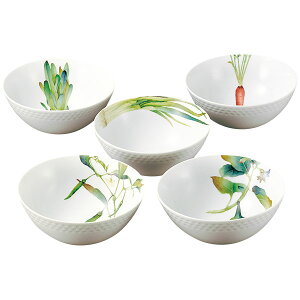 【Noritake(ノリタケ)】京香旬彩(きょうかしゅんさい) 14cmボールセット(絵変り5個)