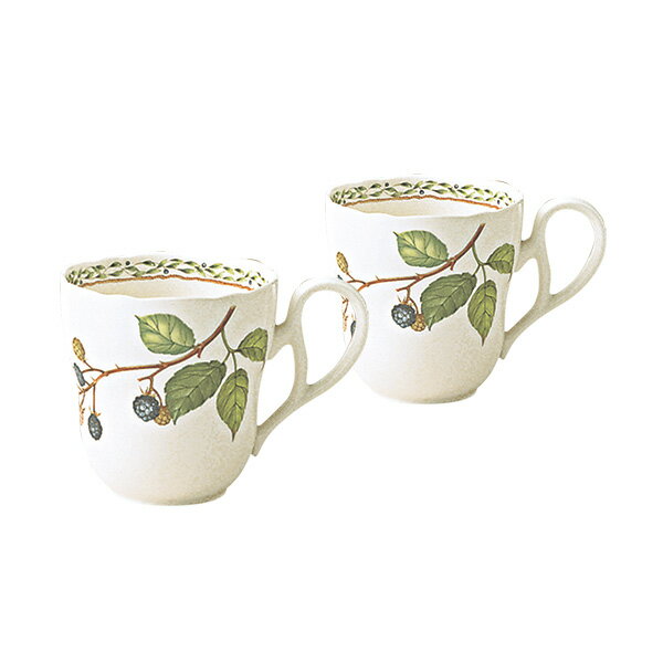 【Noritake（ノリタケ）】（オーチャ