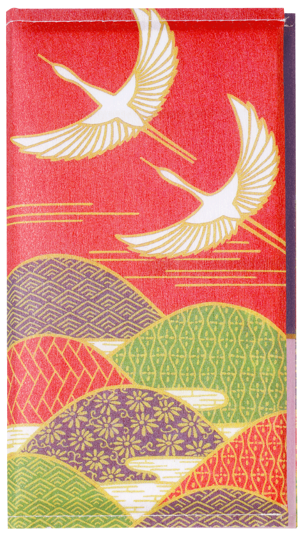 【代引不可】不織布のし袋セット