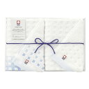 今治タオル 〈蒼海〉 ウォッシュタオル2P C6058-526