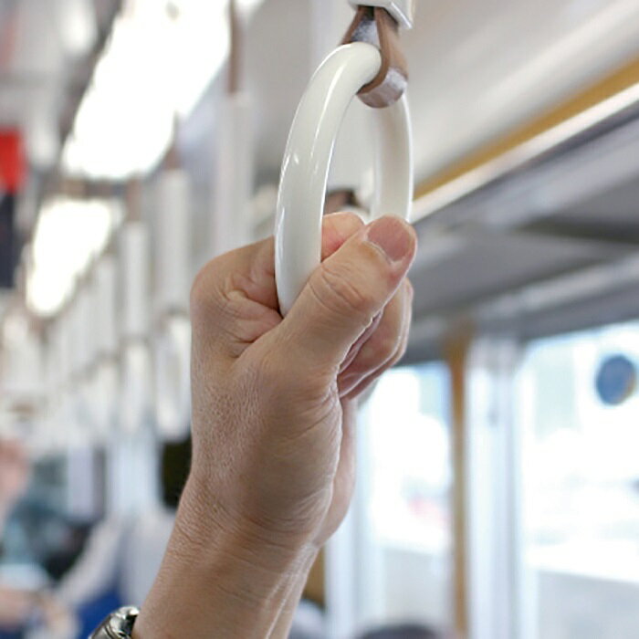【代引不可】 除菌スプレー65 HB060の紹介画像3