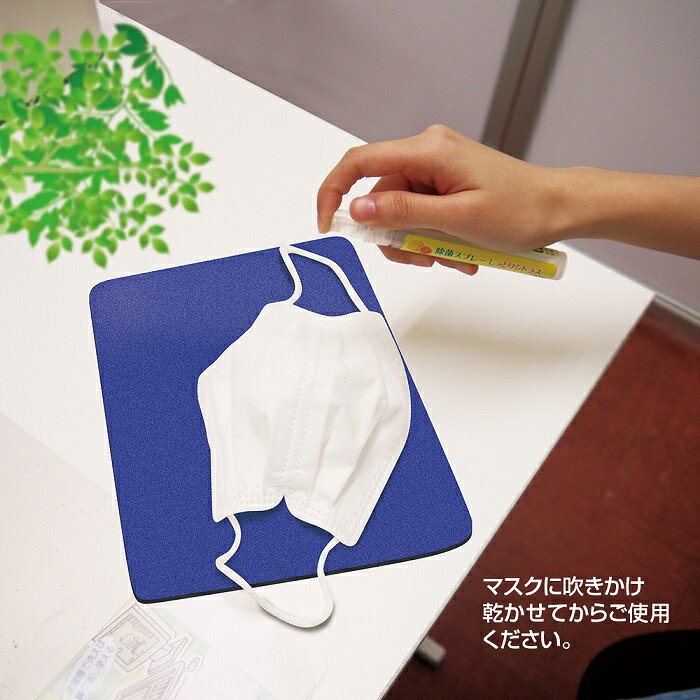 【代引不可】 除菌スプレーしっとりシトラス H...の紹介画像2