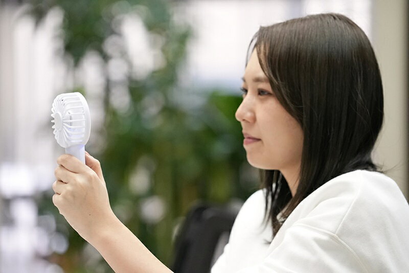 ������Բġ� �����Ӽ�2WAY�ե��� OD103