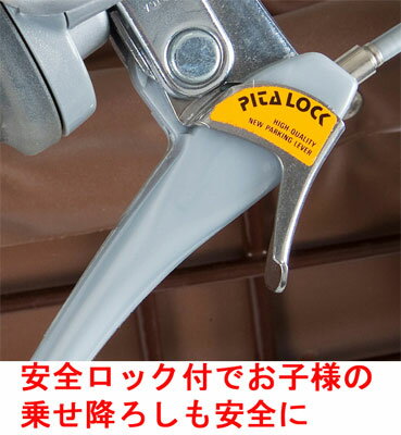 Bambina バスケット付き三輪自転車 Mg Ch243b 送料無料 送料込み インターランド店 バンビーナは三輪だから 安定感抜群 オンライン 大きなバスケット付
