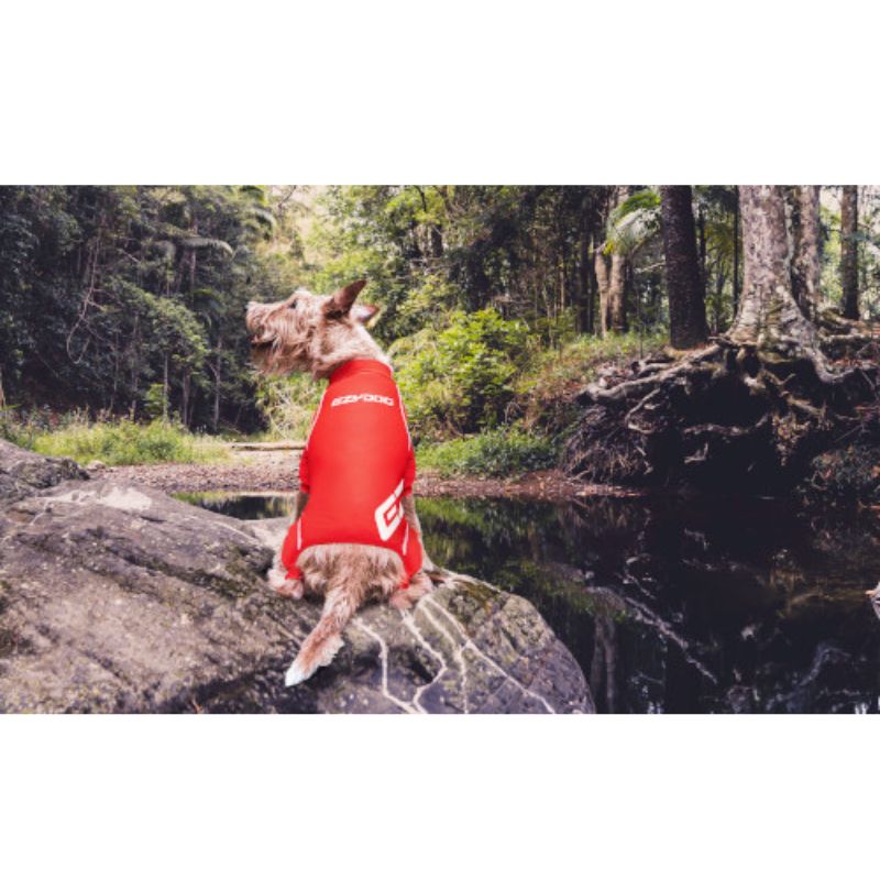 �ڴ��ָ������ò�SALE��EZYDOG ���󥰥��꡼�֥ɥå���å��奬���� M �֥롼��4959283054988������̵���������ȥɥ������������ɥå������⡿��ͷ�ӡ��ڥåȡ��������������淿�����������ȥ�ꥢ�������ס��饤�ե��㥱�åȡ�