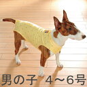 【数量限定アウトレット】ウォームハート Tピース 水玉イエロー 男の子 4~6号