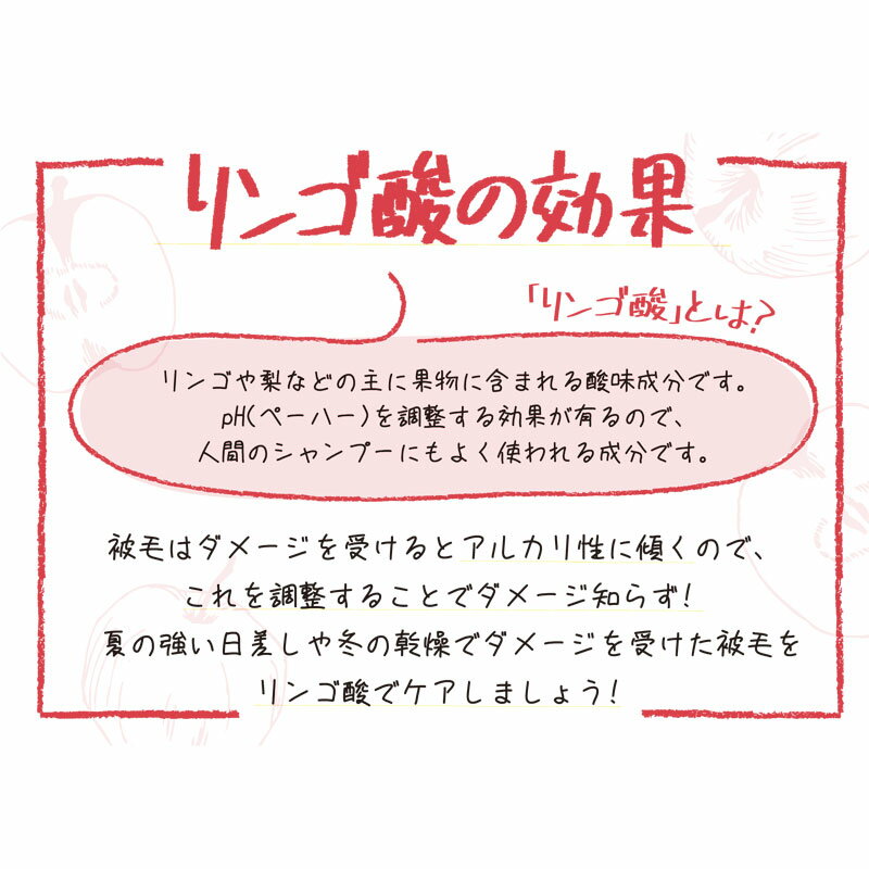 Apple Care �ܥǥ��������ץ졼 150ml�Υ��åץ륱����Ķ�����������������淿�����緿����ǭ���ڥåȡ��񻺡�����������