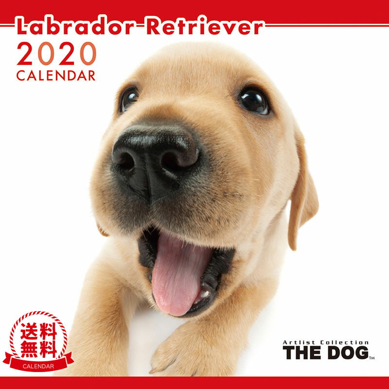 【送料無料】THE DOG 2020年 カレンダー ラブラドールレトリーバー［犬／ドッグ／ペット／calendar／令和／壁掛け］