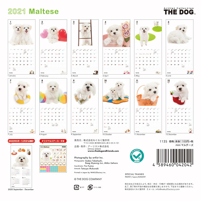 【メール便可】THE DOG 2021年 ミニカレンダー マルチーズ［犬／ドッグ／ペット／calendar／令和／壁掛け］