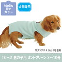 【数量限定アウトレット】ウォームハート Tピース ミントグリーン 男の子 8号~10号