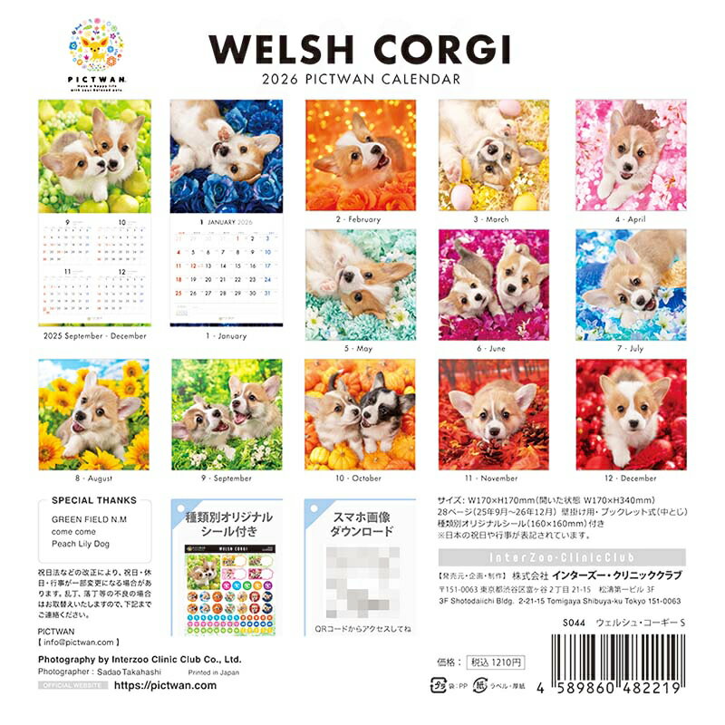 �θ�����PICTWAN�������� 2026ǯ��SȽ�ۥ����륷�塦���������ڤ椦�ѥ��åȲġ�