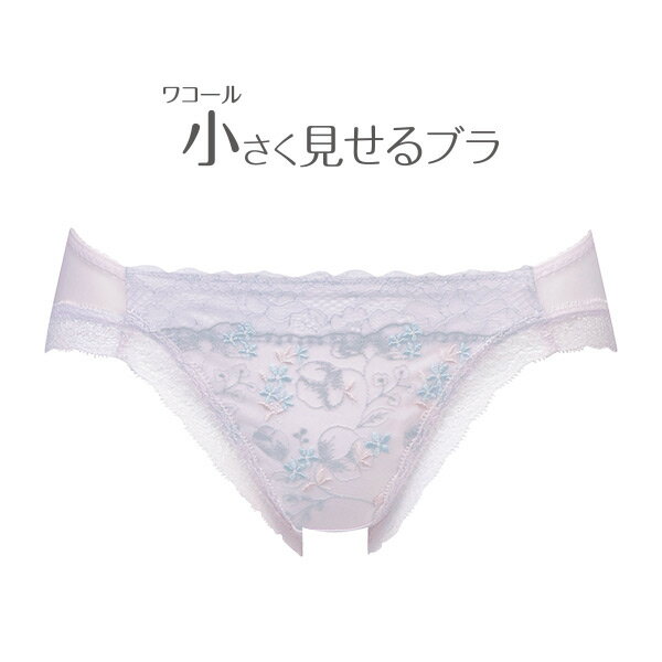 【20％OFF】ワコール 小さく見せるブラ BRB442シリーズ スタンダードショーツ 全6色 M/L PRA142