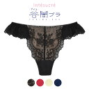 アンテシュクレ intesucre ナイス谷間ブラ Tバックショーツ 全4色 3L-4L EST001