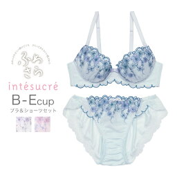 【50％OFF】アンテシュクレ intesucre ふわさら ブラセット ナチュラルバストメイク 全3色 B-E/65-75 IBT295