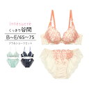 【50%OFF】アンテシュクレ intesucre ブラセット くっきり谷間メイク BCDEカップ アンダー65/70/75 IBT317