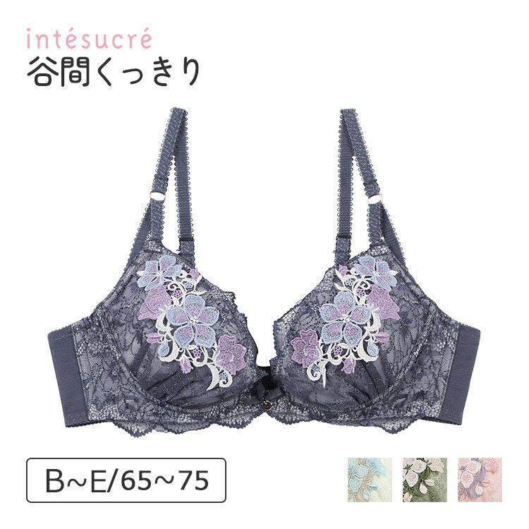 【50％OFF】アンテシュクレ intesucre 毎日フィットブラ Wパッドボリュームタイプ ブラジャー単品 くっきり谷間メイク 全4色 B-E/60-75 IBT341