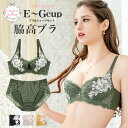 アンテシュクレ intesucre 脇高ブラ Premium ブラセット 全4色 E-G/65-80 IBT326