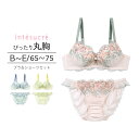 【50%OFF】アンテシュクレ intesucre 毎日フィットブラ ぴったり丸胸タイプ ブラセット ナチュラルバストメイク BCDEカップ 65/70/75c...