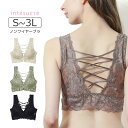 【50%OFF】アンテシュクレ intesucre 背中みせ ハーフトップ フロントホック S/M/L/LL/3L IBN336