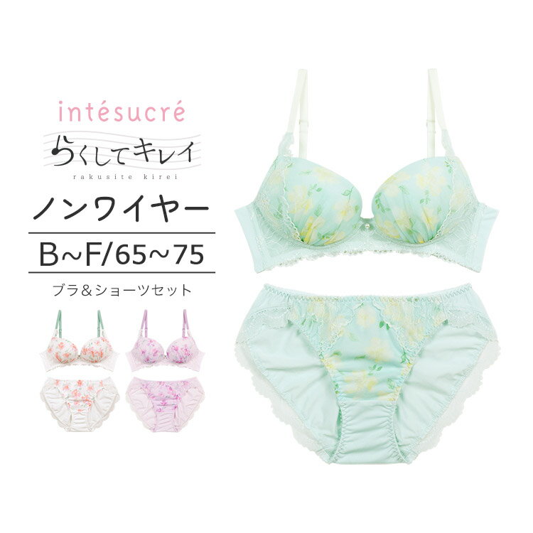 アンテシュクレ intesucre らくしてキレイ ノンワイヤータイプ ブラセット ナチュラルバストメイク BCDEFカップ アンダー 65/70/75cm IBN358